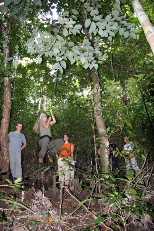 Penanjung nature reserve. Playing Tarzan on the vines, Java Pangandaran Indonesia 1.jpg - Indonesia Java Pangandaran. Penanjung nature reserve. Playing Tarzan on the vines